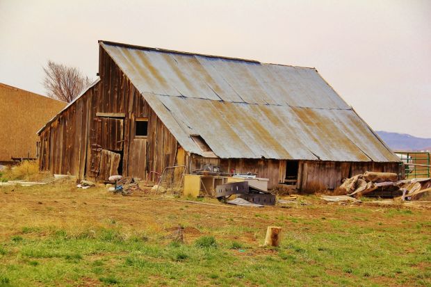Barn